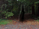 Black Shadow