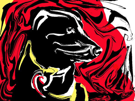 dog